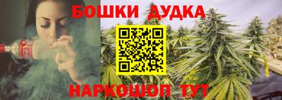 прущие крисы Партизанск