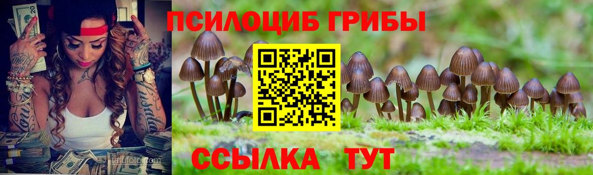 Псилоцибиновые грибы Magic Shrooms Советск